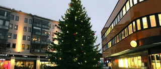 Läsarbild: Julgranen i Boden är pyntad och tänd