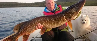 Krokodilen i Puostijärvi
