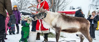 Premiär för julmarknad: "Väldigt mysigt"