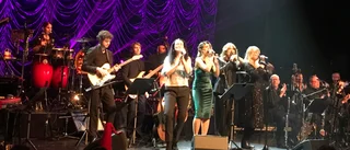 Hyllade Börje Salming – musikalisk flykt i bluesens och jazzens sfärer