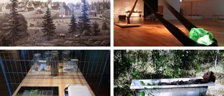 Förorenad luft och giftig jord – Rejmyre Art Lab visar glasbrukets miljöförstörelse