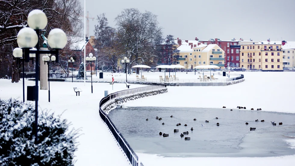 Stadsparken i Eskilstuna i februari.