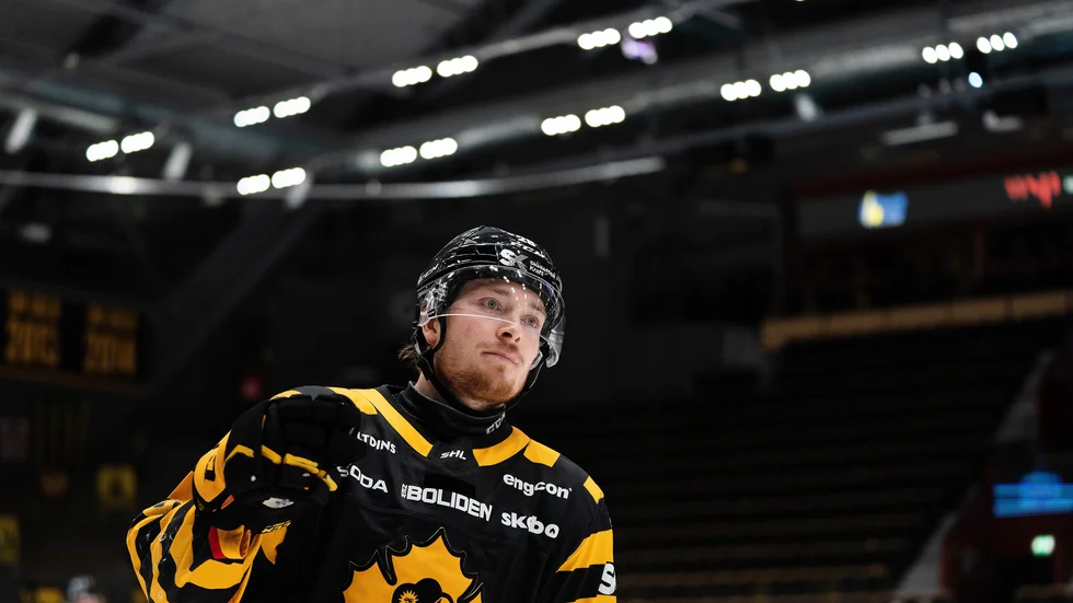 Den förre Skellefteå AIK-forwarden Jesper Frödén gör stor succé i AHL.