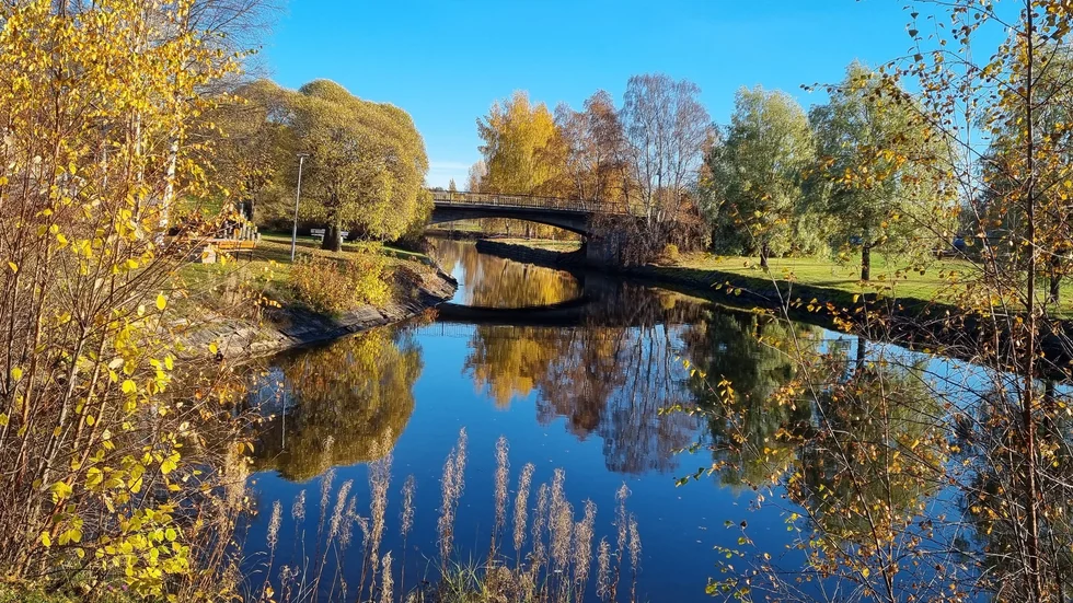 Höstfärger längs kanalen.