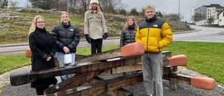 Driver sitt första företag • Idén: Att kombinera lokal historia och inredning/konst • Har redan sålt hundratals produkter