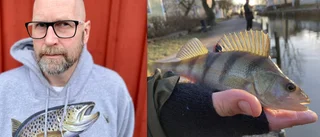 Dubbla priset för halva fiskekvoten i Trosaån – klubben förklarar varför: "Trycket har ökat"