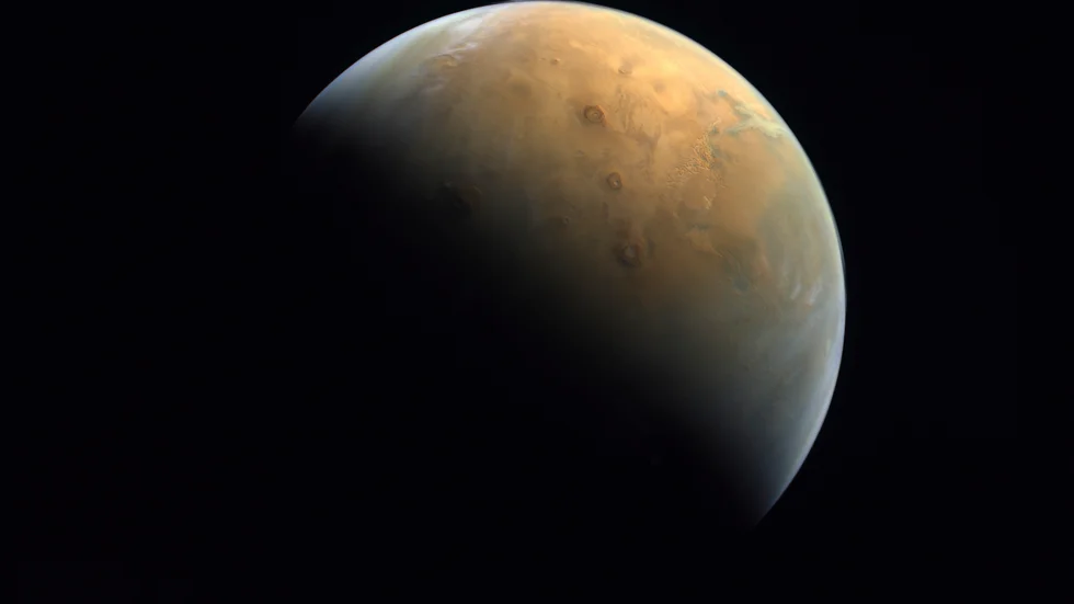 Skribenten vill hellre se koalabjörnar än människor på Mars.
