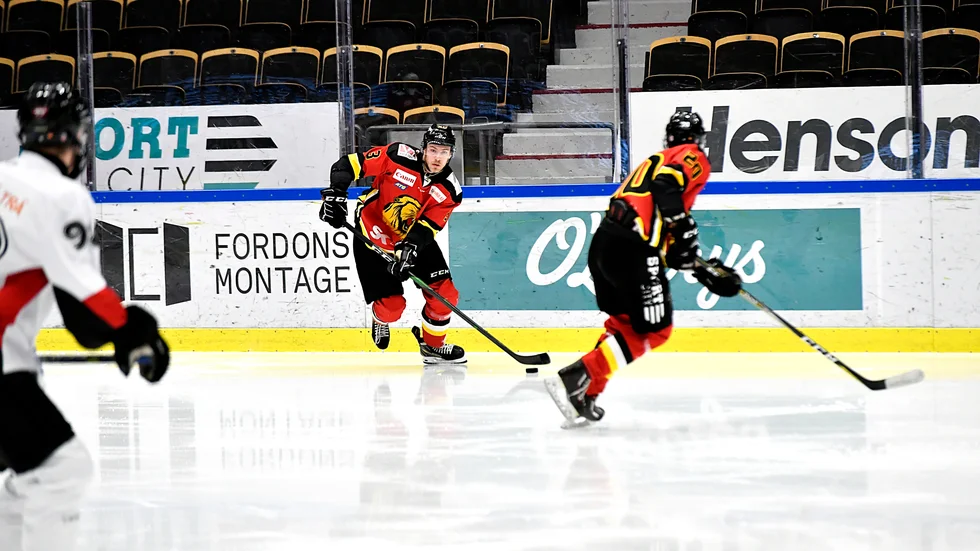 Lejon föll med uddamålet hemma mot Umeå Kings.