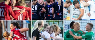 Repris: Länets främsta prisades 