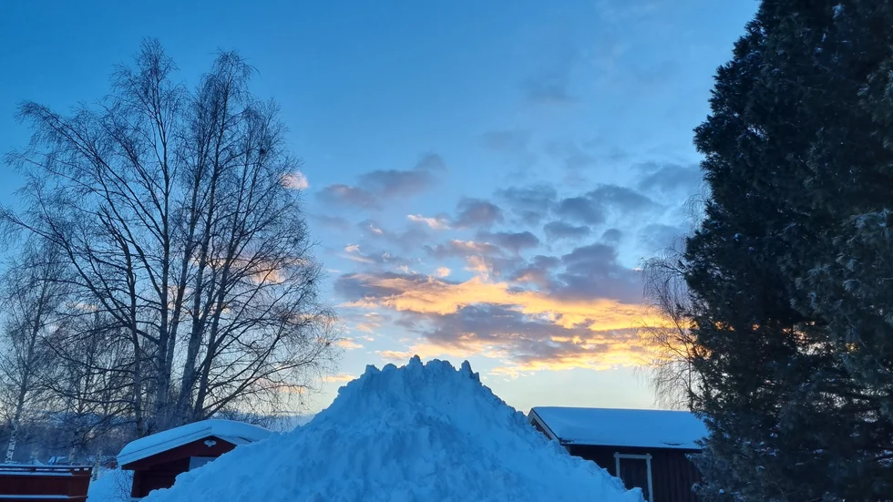 Dagens läsarbild.