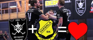 Förslaget: Ska slås ihop till jätteförening