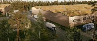 Bolag vill bygga stort logistikcenter: "Nära till båda Luleå och Piteå"