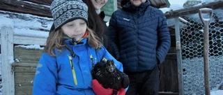 Lilla byn som går mot strömmen – växer så det knakar