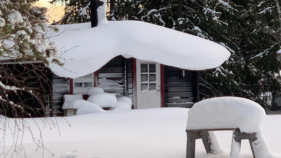 Dagens läsarbild.