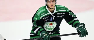 Succéforwarden aktuell för Luleå Hockey