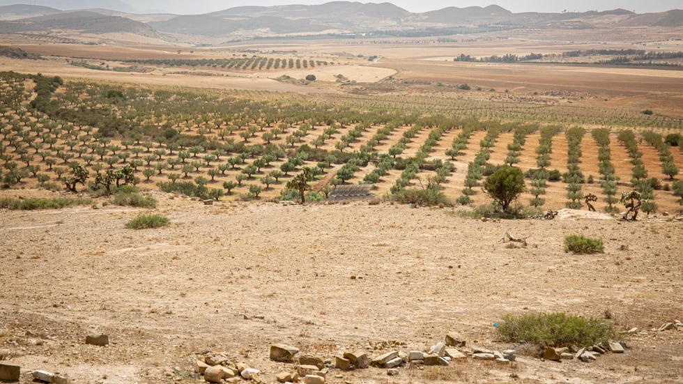 Vattenransonering för bland annat konstbevattning införs i Tunisien. Arkivbild.