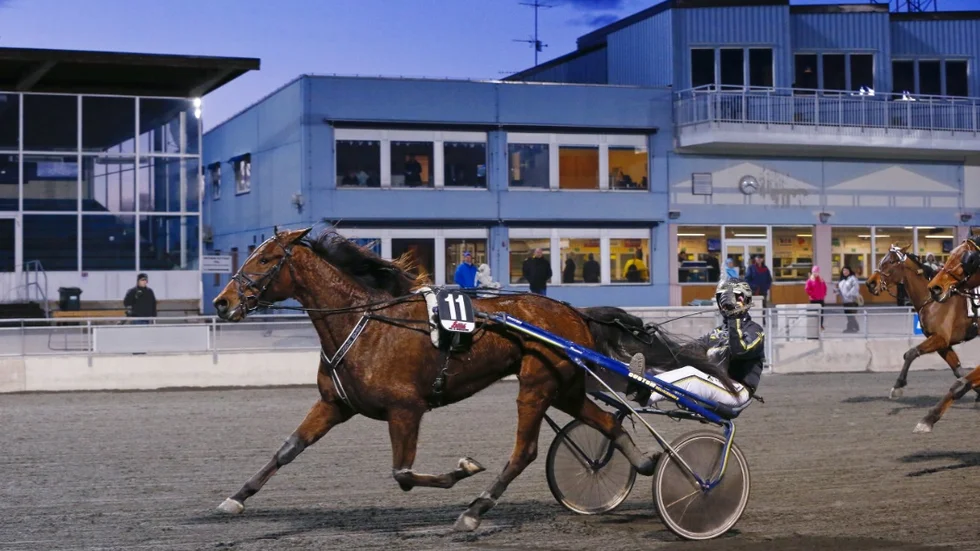 trav p bodentravet kvllstrav hstar spel
Nr 11 No soup for you hanna olofsson kust gare david zimmer trnare