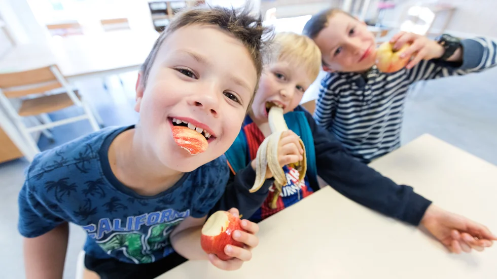 För barn och ungdomar är frukost och mellanmål
viktiga då de bidrar med en stor del av dagens
totala närings- och energiintag. Men att skicka med en frukt om dagen till skolan kan kosta föräldrarna flera hundra kronor i månaden.