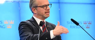 S: Priskommission bör hålla koll på maten