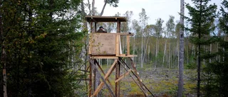 Älgjägare skjuten till döds i Västerbotten