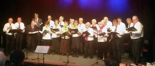 Välbesökt vårvinterkonsert på Lillan