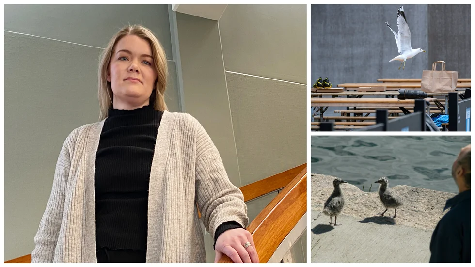 Emmy Israelsson är miljö- och hälsoskyddsinspektör på Finspångs kommun