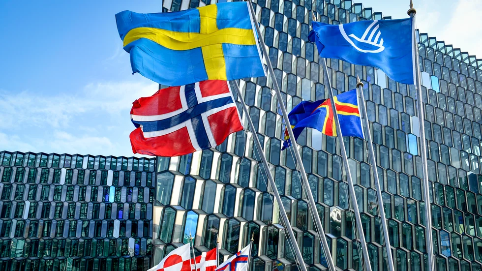 Nordens dag är en dag att fira och kraftsamla. Vi ska både värna samarbetet och bygga ut det, skriver insändarskribenterna.