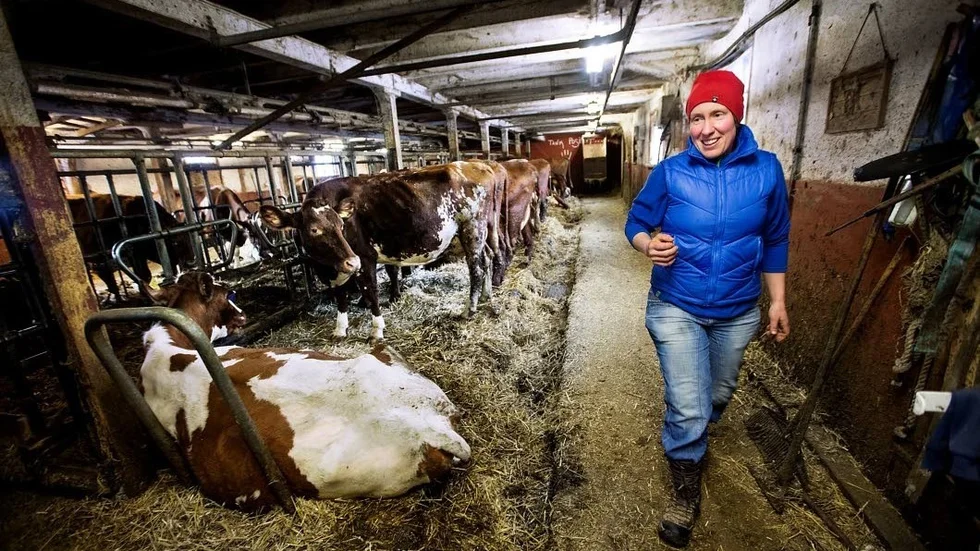 Elin Torstensson driver en mjölkgård i Östanå i Österbybruk. Samtidigt som livsmedelspriserna rusat i höjden får hon mindre för den mjölk hon säljer till Arla. Sedan årsskiftet har priset per kilo ekologisk mjölk sjunkit med 90 öre till 5,89.