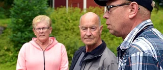 Stämma med stjärnglans