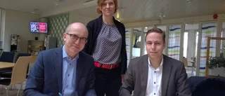 Landstinget köper vindkraftverk