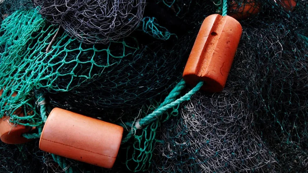 Nätfiske. Fiskaren åtalades för att fiska med ett nät med för små maskor, men friades.