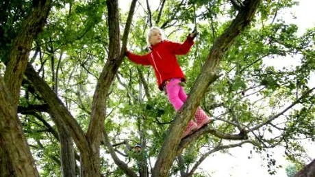 - Det är inte alls otäckt att klättra högt upp i träden, försäkrar Kajsa Andersson, 7 år, på Breviksskolan.