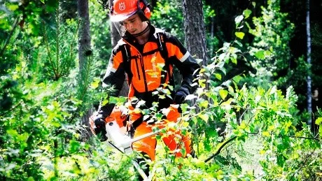 - En välmående skog, då har barrträden en fin grön färg. De är inte de bästa julgranarna kanske, för att de växer i väg på längden, säger Robin Jakobsson. Foto: Ola Axman