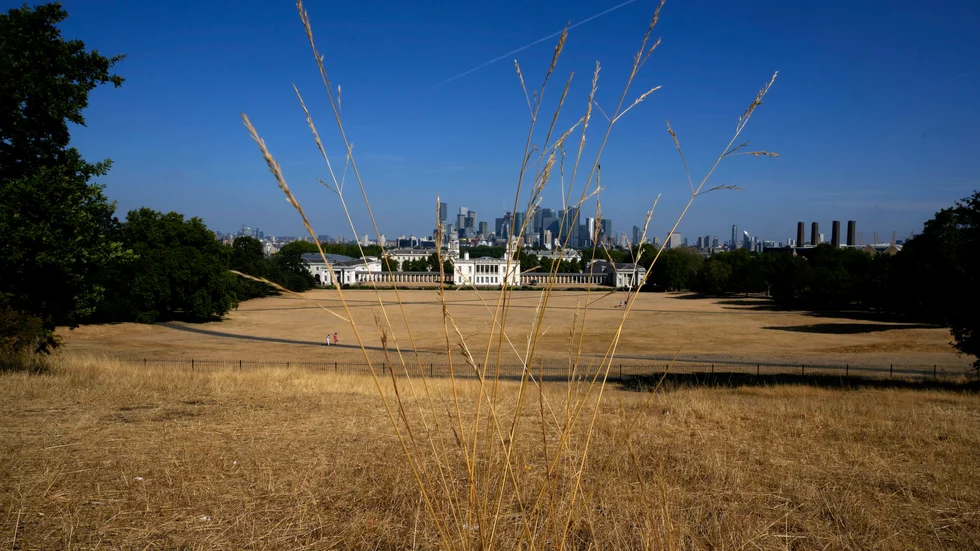 Normalt gröna Greenwich Park i London var gul av torkat gräs i augusti.