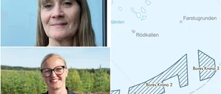 Planer på havsbaserad vindkraftspark i Luleå skärgård • Kommer synas från öarna • "De här snurrorna går inte att gömma"