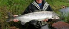 Laxfiskeguiden Frekko vet var fisken står