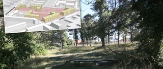 Parterna överens om bostäder i Torslunden