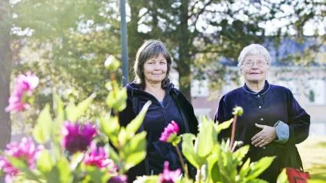 Vackra dahlior på Floras kulle beskådade av Maria Engström, Luleå kommuns parkförvaltning som fått Dagens ros av Birgitta Niska, Rutvik. FOTO: Jonas Lindsköld