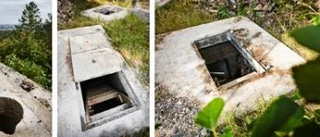 Bolaget anser att kommunen bär ansvaret
