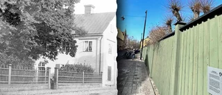 Planket kring Linnéträdgården engagerar och upprör: "Förbannad"