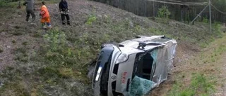 Föraren väjde för djur