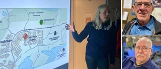 Hertsöborna nyfikna på "Luleås hetaste bostadsområde"