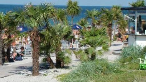 Det blir ingen palmkantad beach i Kalix - om nu inte Kalix kommun genomför First camps planer i egen regi förstås.
