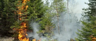 Brandrisk med engångsgrillar