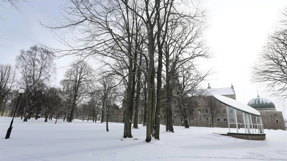 Diskussioner förs just nu kring placering av en eventuell restaurang i Hamnparken i Vadstena.