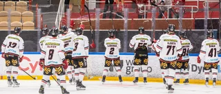 Därför känner jag samhörighet med Vita Hästens supportrar