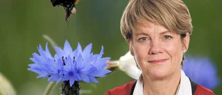 En blomma om dagen