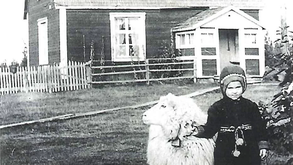 kolonatet. Kolonistugan 1945. Johan Gustafssons barnbarn Vera poserar med en präktig tacka.