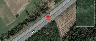 Trafikverket varnar för rådjur på vägen på E4