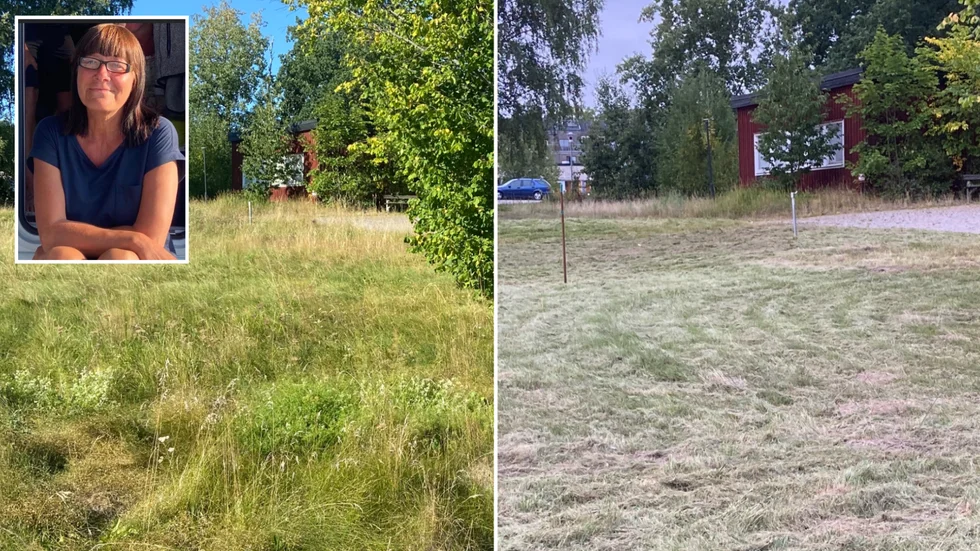 Helene Eriksson bor mitt emot Mikaelsgården och säger sig ha bevittnat den första gräsklippningen där på fem år.